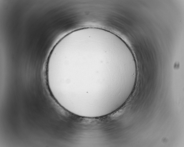 X0000103401056200810031220