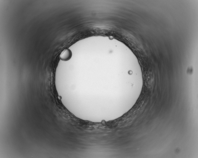 X0000103401061200810031220