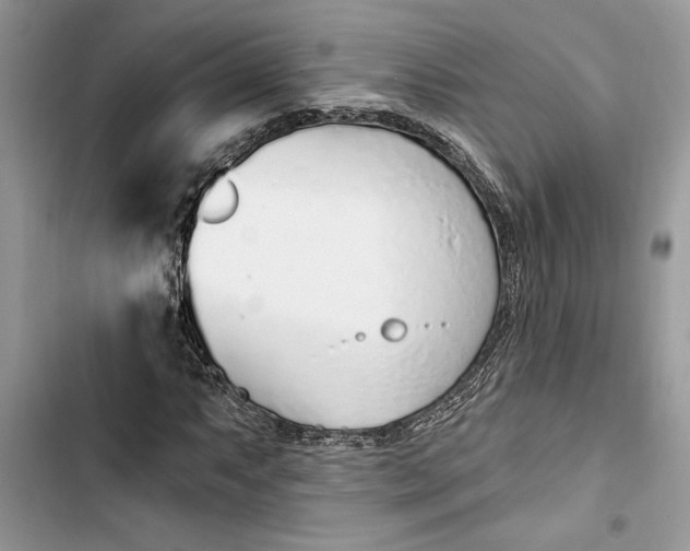 X0000103401063200810031220