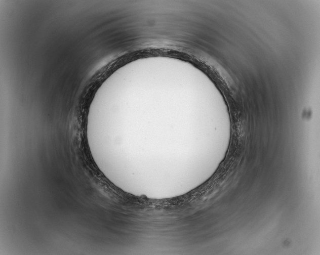 X0000103401064200810031220