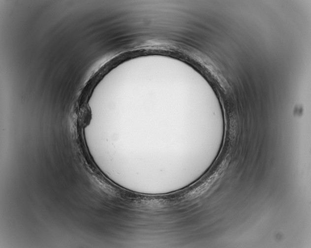 X0000103401066200810031220