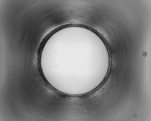 X0000103401070200810031219