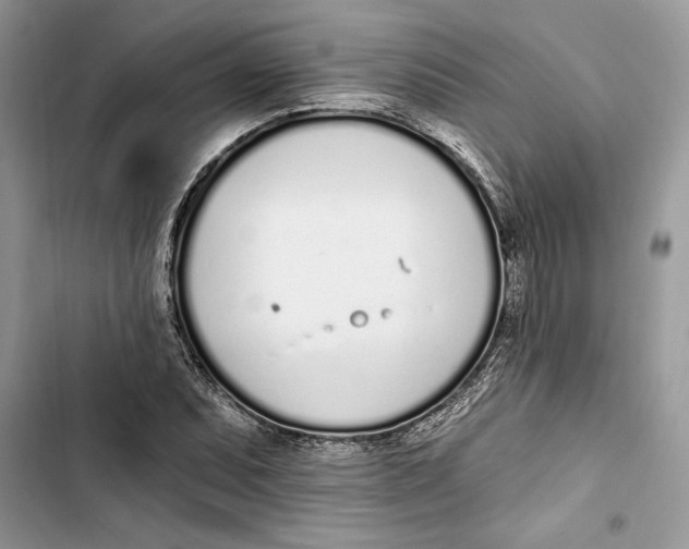 X0000103401071200810031219