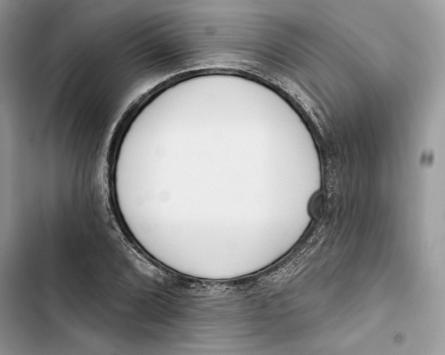 X0000103401072200810031219