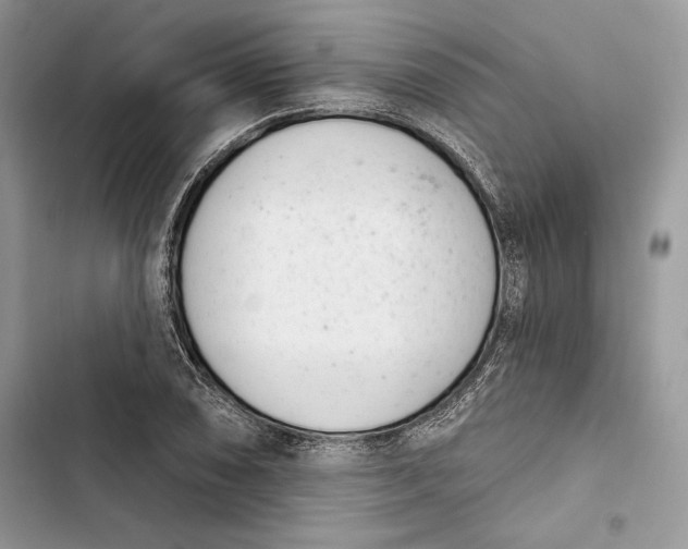 X0000103401074200810031219