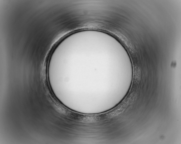 X0000103401078200810031219