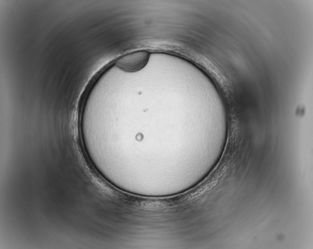 X0000103401079200810031219