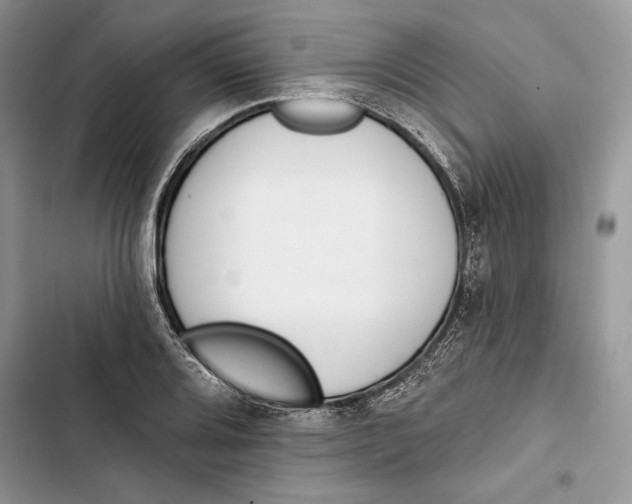 X0000103401080200810031219