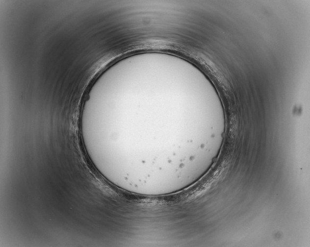 X0000103401081200810031219