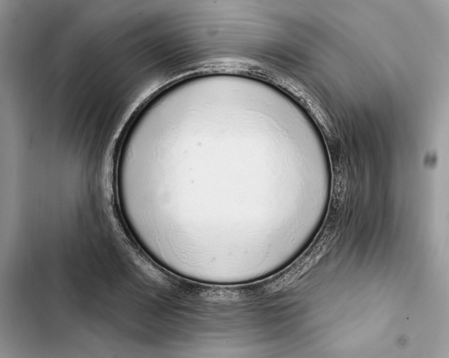 X0000103401083200810031219