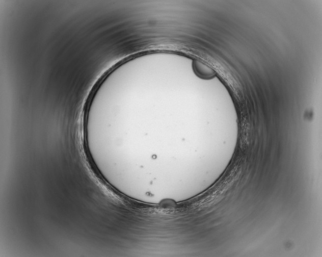 X0000103401084200810031219