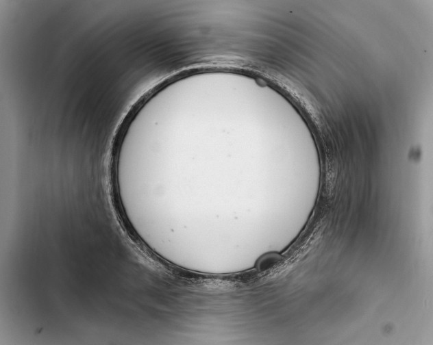 X0000103401085200810031219