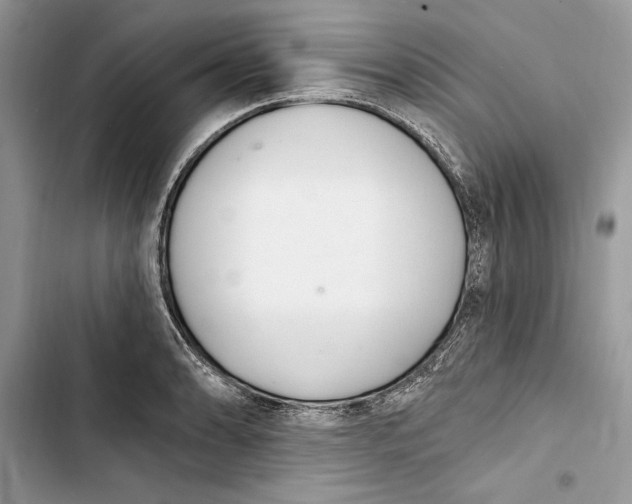 X0000103401086200810031219