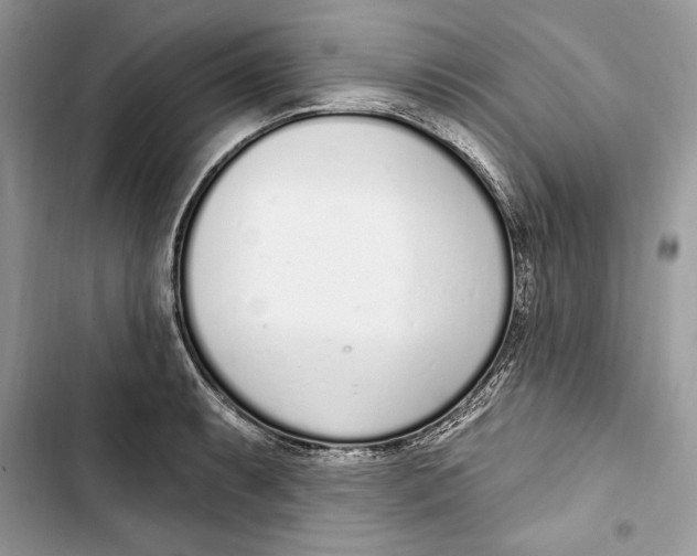 X0000103401087200810031219