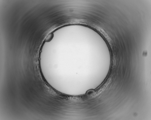 X0000103401089200810031219