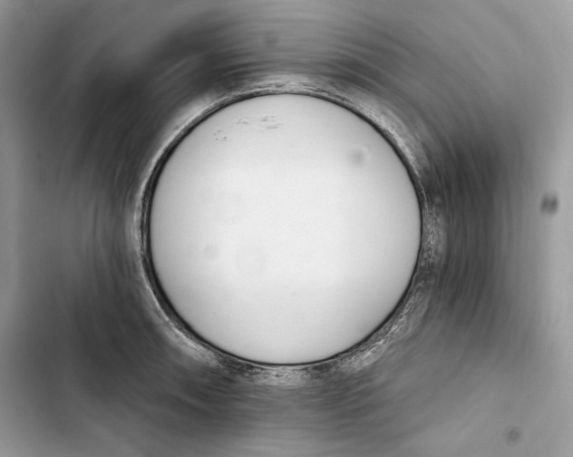 X0000103401090200810031219