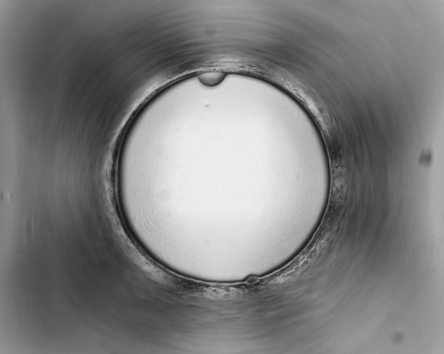 X0000103401091200810031219