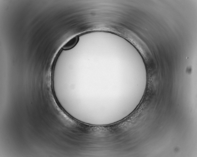 X0000103401092200810031219