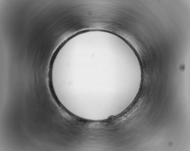 X0000103401093200810031219