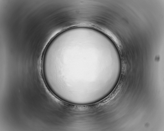 X0000103401095200810031219