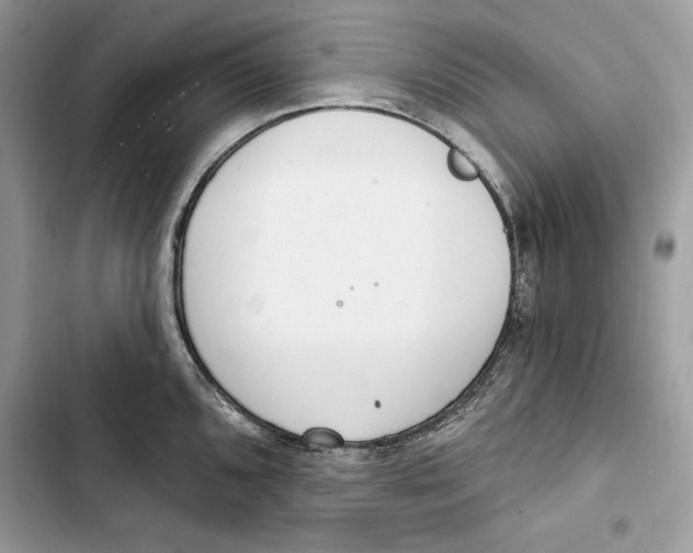 X0000103401096200810031219