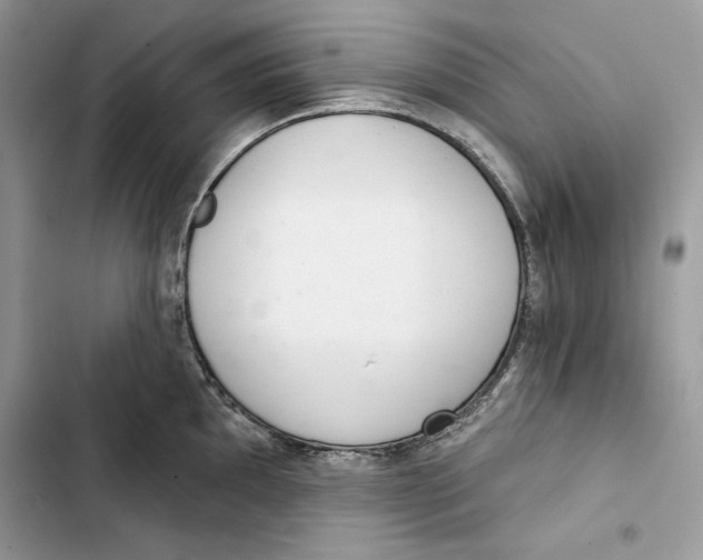 X0000103401097200810031219