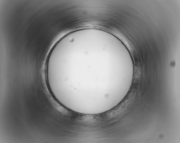 X0000103401098200810031219