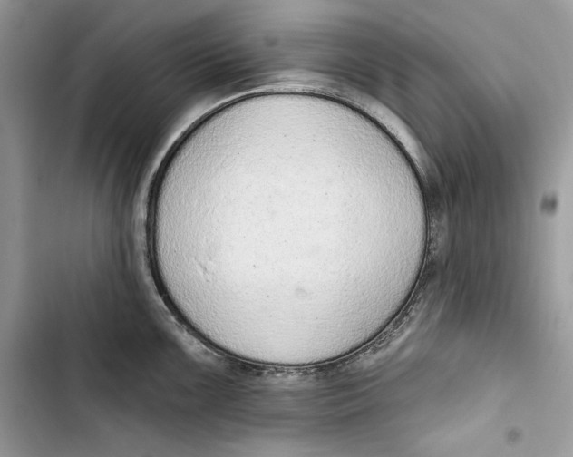 X0000103401099200810031219