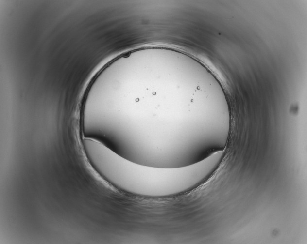 X0000103401100200810031219