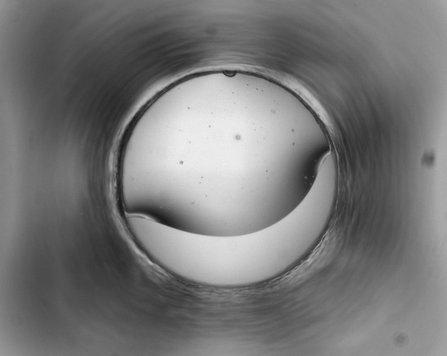 X0000103401101200810031219