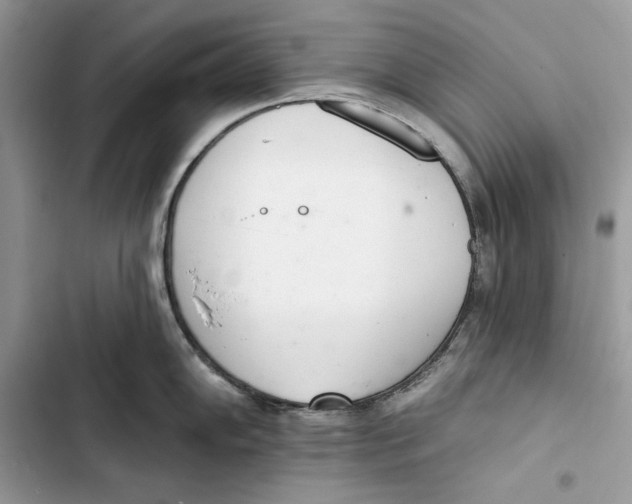 X0000103401102200810031219