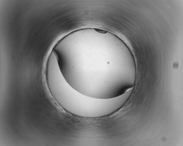 X0000103401104200810031219