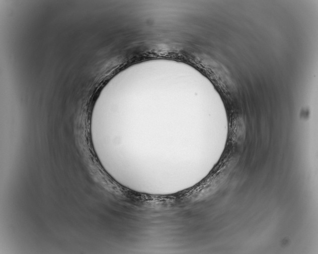 X0000103401105200810031218