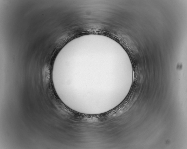 X0000103401106200810031218