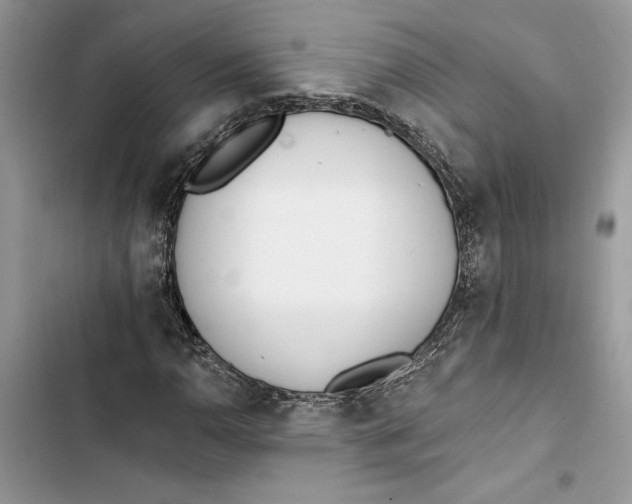 X0000103401110200810031218