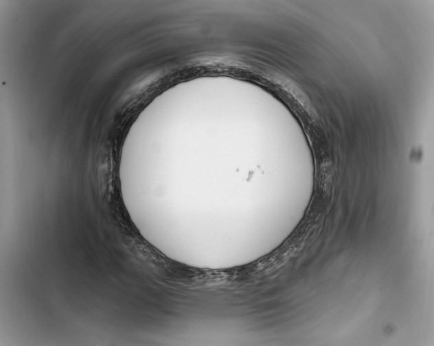 X0000103401111200810031218