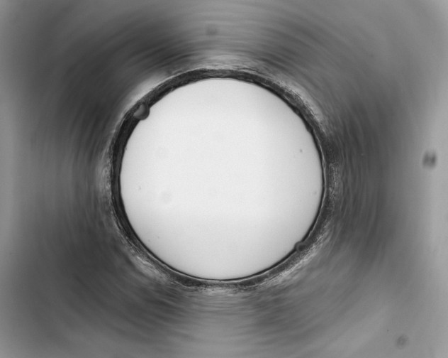 X0000103401114200810031218