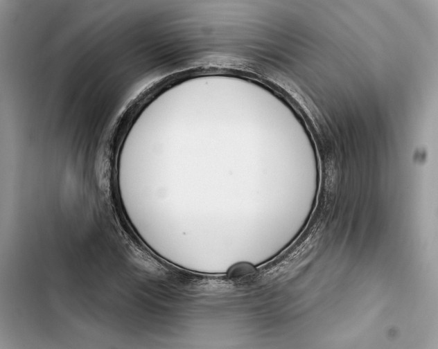 X0000103401115200810031218