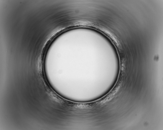 X0000103401117200810031218