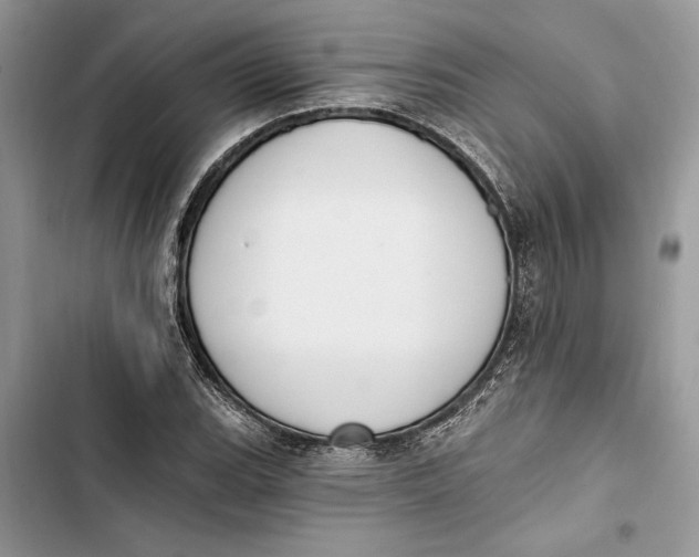 X0000103401119200810031219