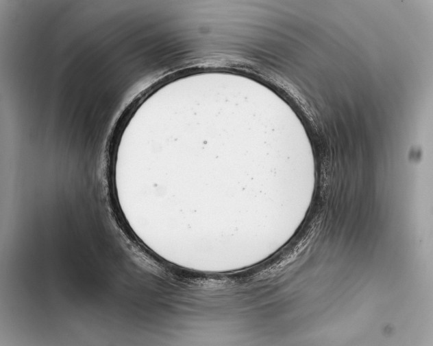 X0000103401122200810031219