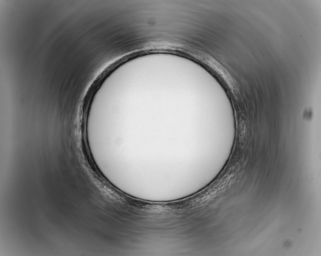 X0000103401124200810031219