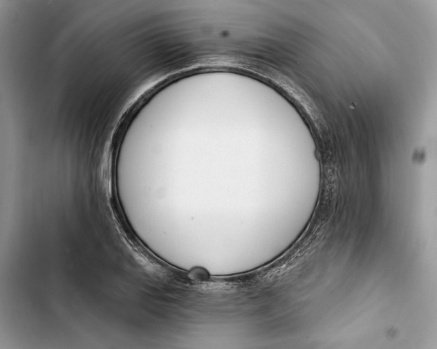 X0000103401127200810031219