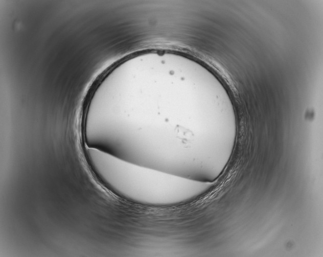 X0000103401128200810031219