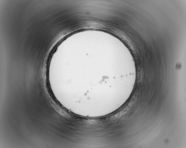 X0000103401130200810031219