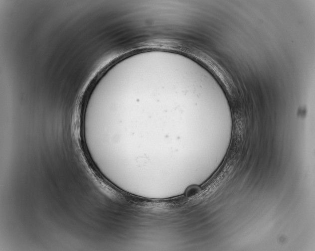 X0000103401131200810031219