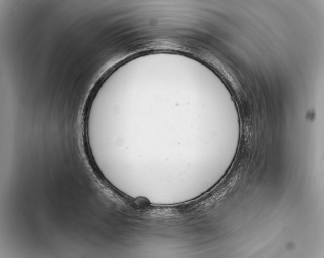 X0000103401133200810031219