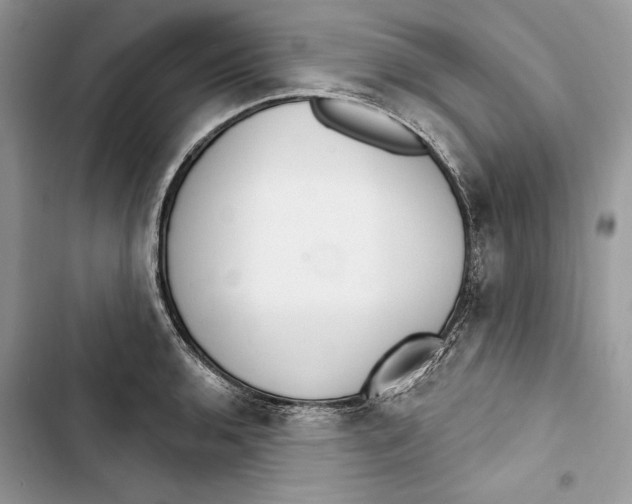 X0000103401136200810031219