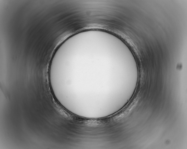 X0000103401137200810031219