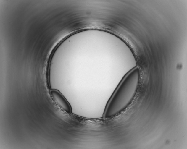 X0000103401138200810031219